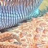2110867 abaaba 1716375668